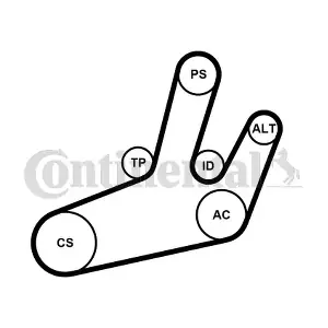 CONTINENTAL CTAM 6PK1780K1
