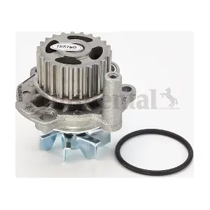CONTINENTAL CTAM WP6041
