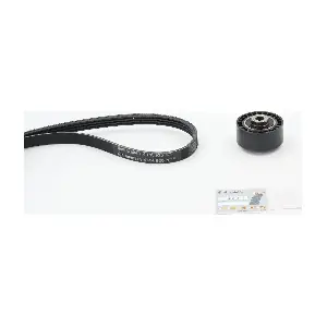CONTINENTAL CTAM 4PK925K1