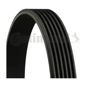 CONTINENTAL CTAM 6PK2065