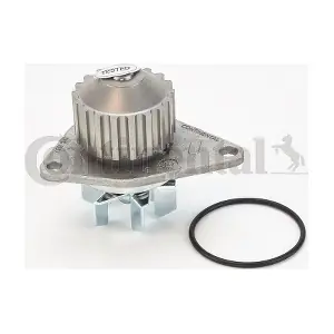 WP6079 CONTINENTAL CTAM