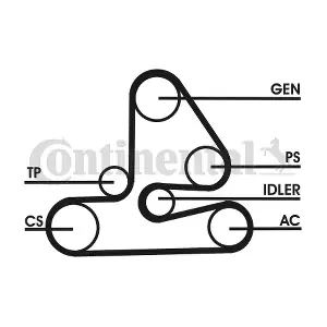6PK1613D1 CONTINENTAL CTAM