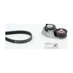 CONTINENTAL CTAM 4PK735K1