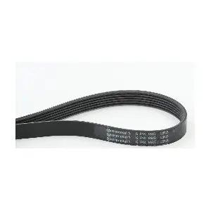 CONTINENTAL CTAM 6PK995