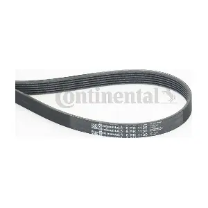 CONTINENTAL CTAM 6PK1130