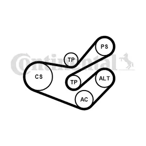 6PK1750K3 CONTINENTAL CTAM