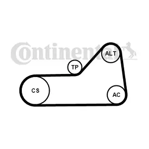 CONTINENTAL CTAM 6PK1153WP1