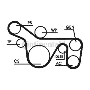 6PK1720D1 CONTINENTAL CTAM