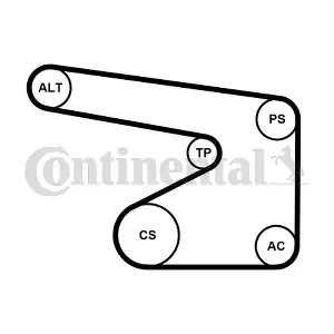5PK1355WP1 CONTINENTAL CTAM