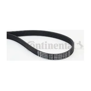 CONTINENTAL CTAM 6PK1059 ELAST