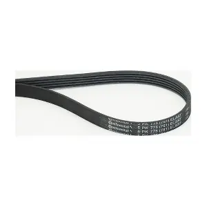 5PK775 ELAST CONTINENTAL CTAM