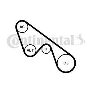 CONTINENTAL CTAM 5PK1150K1