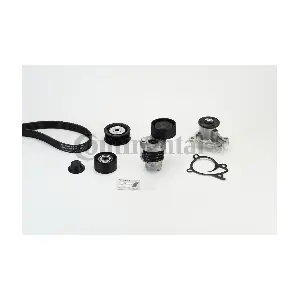 CONTINENTAL CTAM 7PK1605WP1