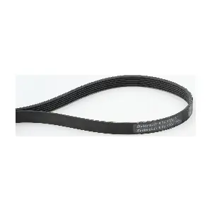 CONTINENTAL CTAM 6PK1352