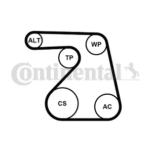 CONTINENTAL CTAM 6PK1217WP1