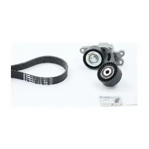 CONTINENTAL CTAM 6PK1560K1