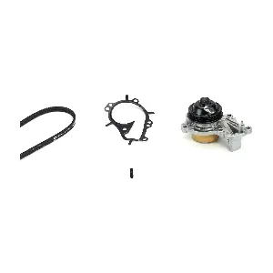 CONTINENTAL CTAM 3PK576 ELAST WP1