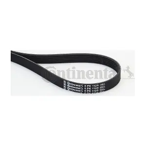 CONTINENTAL CTAM 6PK1120
