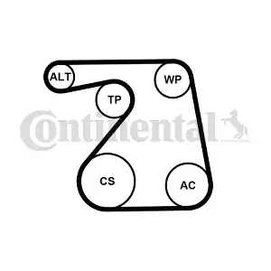 CONTINENTAL CTAM 6PK1360WP1