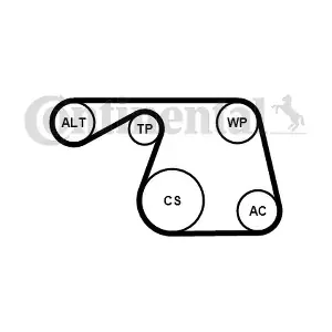 CONTINENTAL CTAM 6PK1310WP1