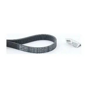 CONTINENTAL CTAM 6PK842 ELAST T1