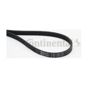 CONTINENTAL CTAM 5PK1245