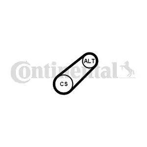 6PK799ELAST CONTINENTAL CTAM