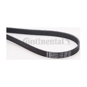 CONTINENTAL CTAM 6PK2260