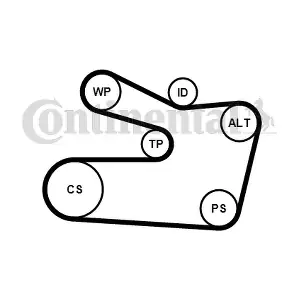 CONTINENTAL CTAM 6PK1733WP1