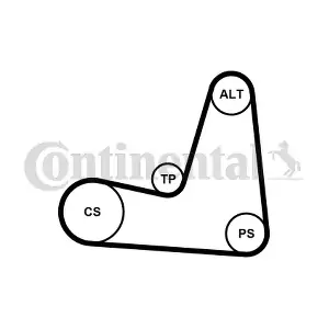 5PK1135K1 CONTINENTAL CTAM