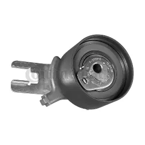 V56521 CONTINENTAL CTAM
