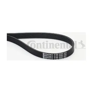 CONTINENTAL CTAM 6PK1050