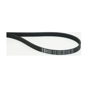 CONTINENTAL CTAM 5PK1230 ELAST
