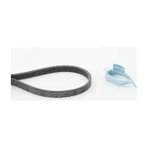 CONTINENTAL CTAM 4PK874 ELAST T1