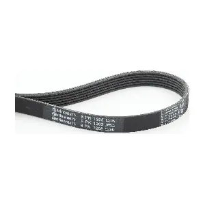 CONTINENTAL CTAM 6PK1205