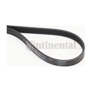 CONTINENTAL CTAM 6PK1173