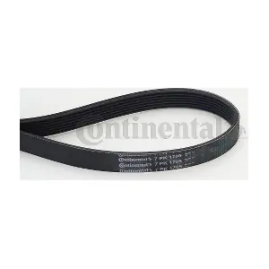 CONTINENTAL CTAM 7PK1705