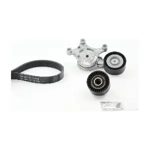 CONTINENTAL CTAM 6PK800K1