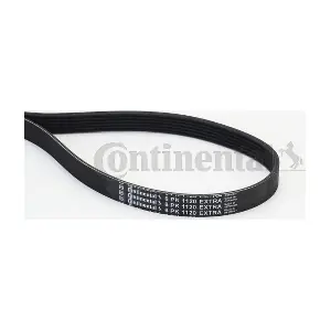 6PK1120 EXTRA CONTINENTAL CTAM