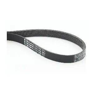 CONTINENTAL CTAM 6PK1750
