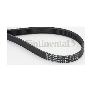 CONTINENTAL CTAM 6PK1870