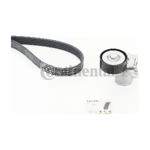 6PK1130K3 CONTINENTAL CTAM