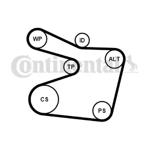 6PK1555WP1 CONTINENTAL CTAM