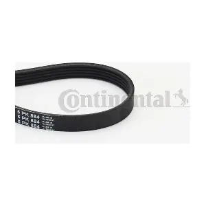 CONTINENTAL CTAM 5PK884