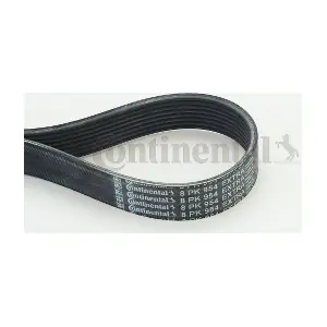 8PK954 EXTRA CONTINENTAL CTAM