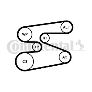 6PK1698WP1 CONTINENTAL CTAM
