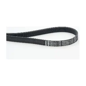 CONTINENTAL CTAM 6PK1019 ELAST