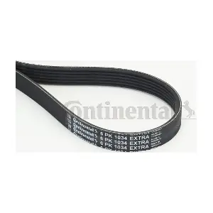 6PK1034 EXTRA CONTINENTAL CTAM