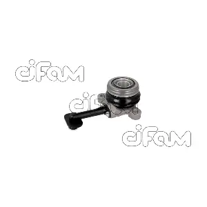 CIFAM 506042