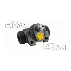 CIFAM 101-068